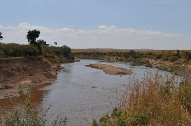 wildebeest migration crossing view point